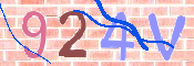 Obraz CAPTCHY